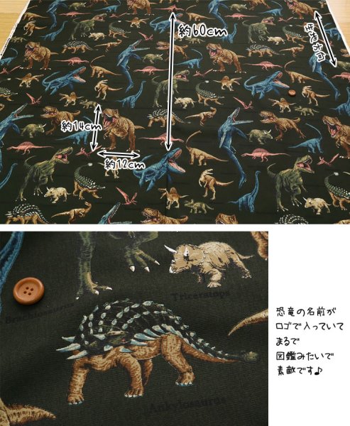 Photo6: 【1米 價格】🟡日本製｜💢 非 現貨｜🇯🇵 日本製｜100% 棉 ~ 牛津布｜恐龍 Dinosaur｜2025年 12月 (6)