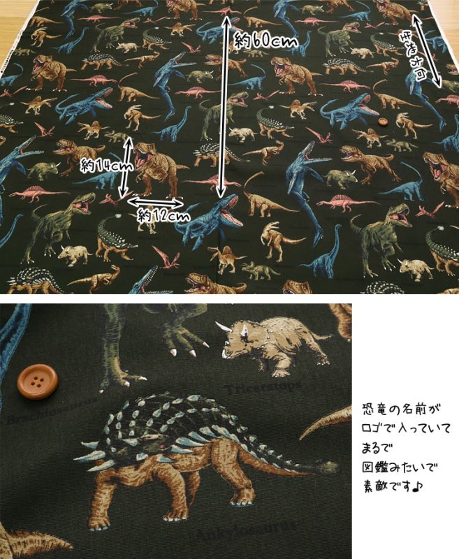 Photo6: 【1米 價格】🟡日本製｜💢 非 現貨｜🇯🇵 日本製｜100% 棉 ~ 牛津布｜恐龍 Dinosaur｜2025年 12月 (6)