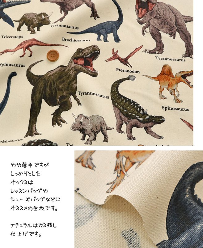 Photo4: 【1米 價格】🟡日本製｜💢 非 現貨｜🇯🇵 日本製｜100% 棉 ~ 牛津布｜恐龍 Dinosaur｜2025年 12月 (4)