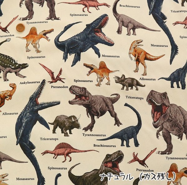 Photo3: 【1米 價格】🟡日本製｜💢 非 現貨｜🇯🇵 日本製｜100% 棉 ~ 牛津布｜恐龍 Dinosaur｜2025年 12月 (3)