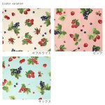 Photo2: 【1米 價格】🔴日本製｜💢 非 現貨｜🇯🇵 日本製｜100% 棉 ~ 牛津布｜漿果圖案｜2025年 12月 (2)