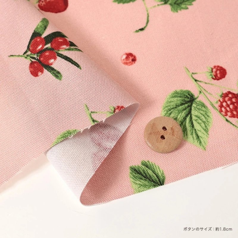 Photo4: 【1米 價格】🔴日本製｜💢 非 現貨｜🇯🇵 日本製｜100% 棉 ~ 牛津布｜漿果圖案｜2025年 12月 (4)