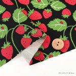 Photo4: 【1米 價格】🔴日本製｜💢 非 現貨｜🇯🇵 日本製｜100% 棉 ~ 牛津布｜Strawberry Party｜2025年 12月 (4)