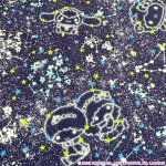 Photo1: 【1米 價格】🟣日本製｜💢 非 現貨｜🇯🇵 日本製｜100% 棉 ~ "Liberty" 偏薄、軟｜Little Twin Stars 50th Anniversary Collection｜Constellation Sky｜Sanrio Little Twin Stars、Hello Kitty、My Melody｜2025年 12月 (1)