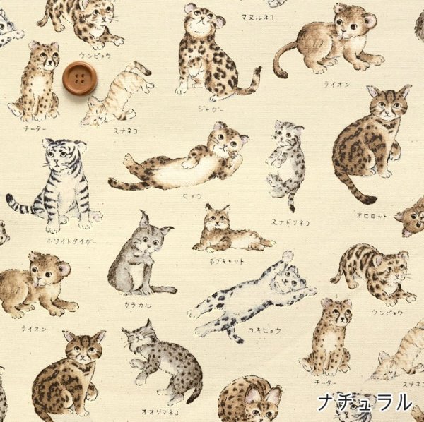 Photo8: 【1米 價格】🟤日本製｜💢 非 現貨｜100% 棉 ~ 牛津布｜動物布 貓 貓咪百科全書｜2025年 5月 (8)