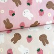 Photo1: 【1米 價格】🟣日本製｜💢 非 現貨｜🇯🇵 日本製｜100% 棉 ~ 牛津布｜Miffy｜2026年 1月 (1)