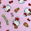 Photo6: 【1米 價格】🟣日本製｜💢 非 現貨｜🇯🇵 日本製｜100% 棉 ~ 牛津布｜Sanrio Hello Kitty｜2026年 1月 (6)