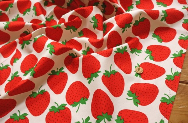 Photo4: 【1米 價格】🟫日本製｜💢 非 現貨｜🇯🇵 日本製｜100% 棉｜士多啤梨｜2026年 1月 (4)