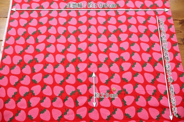 Photo6: 【1米 價格】🟫日本製｜💢 非 現貨｜🇯🇵 日本製｜100% 棉｜士多啤梨｜2026年 1月 (6)