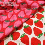 Photo2: 【1米 價格】🟫日本製｜💢 非 現貨｜🇯🇵 日本製｜100% 棉｜士多啤梨｜2026年 1月 (2)