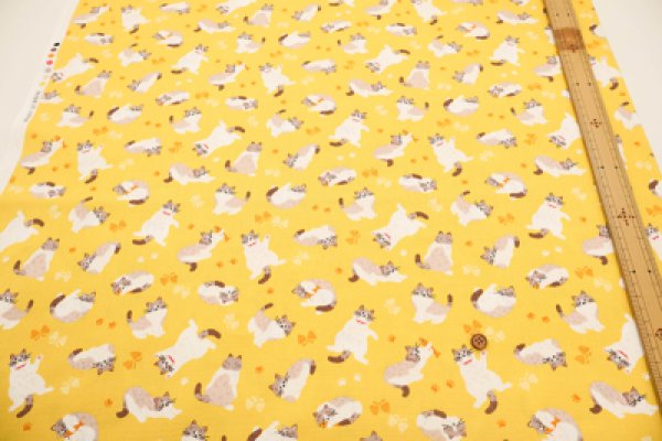 Photo6: 【1米 價格】🟡日本製｜💢 非 現貨｜100% 棉 ~ 牛津布｜動物 撒嬌的小貓 (6)
