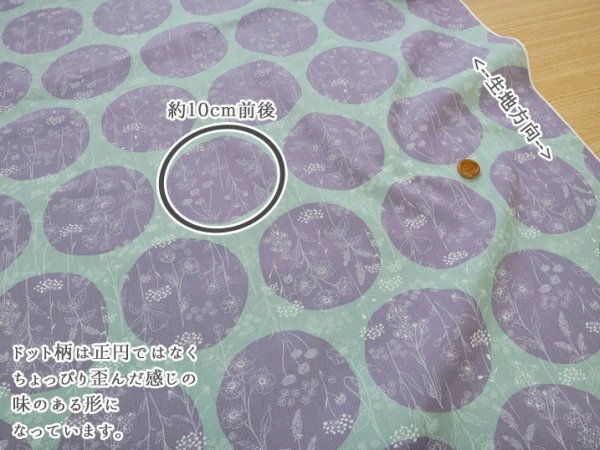 Photo6: 【1米 價格】🟤日本製｜💢 非 現貨｜100% 棉 ~ 牛津布｜花卉小夜曲 波點圖案｜2026年 (6)