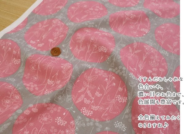 Photo4: 【1米 價格】🟤日本製｜💢 非 現貨｜100% 棉 ~ 牛津布｜花卉小夜曲 波點圖案｜2026年 (4)