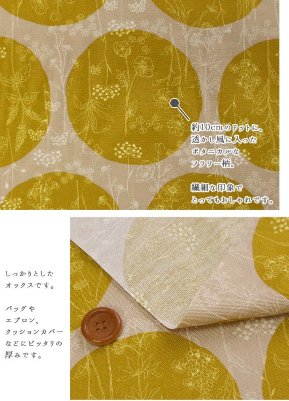 Photo2: 【1米 價格】🟤日本製｜💢 非 現貨｜100% 棉 ~ 牛津布｜花卉小夜曲 波點圖案｜2026年 (2)