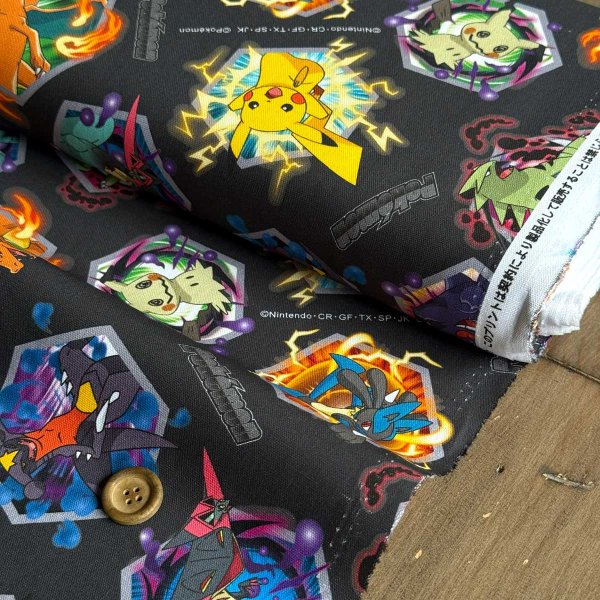 Photo2: 【1米 價格】🔵日本製｜💢 非 現貨｜100% 棉 ~ 牛津布 數位印刷｜POKEMON 寶可夢 寵物小精靈 皮卡丘｜2026年 (2)