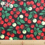 Photo3: 💖帶點復古感【日本選物｜預訂商品（約15–20日到貨）】🟡日本製｜100% 棉 ~ 牛津布｜霓虹番茄｜2026年 6月 (3)