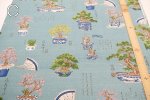 Photo5: 【日本選物｜預訂商品（約15–20日到貨）】🟡日本製｜100% 棉 薄｜盆栽｜2026年 6月 (5)