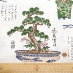 Photo3: 【日本選物｜預訂商品（約15–20日到貨）】🟡日本製｜100% 棉 薄｜盆栽｜2026年 6月 (3)