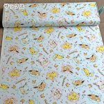 Photo6: 💕Pokémon【預訂商品（約 20日到貨）】🟣日本製｜100% 棉 ~ 牛津布｜Pokémon 寵物小精靈 寶可夢 比卡超 Pikachu 伊布 Eevee 謎擬Q Mimikyu 🍬可愛的甜點與糖果圖案｜2026年 8月 (6)