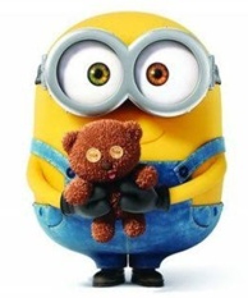 Photo2: 💕Minions【預訂商品（約 20日到港）】🟣日本製｜絎縫 車棉布｜迷你兵團 糖果｜2026年 8月