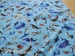 Photo6: 🦈海洋生物【日本選物｜預訂商品（約 20 日到港）】🟤日本製｜100% 棉 牛津布｜大白鯊、鯨鯊、虎鯊、鋸鮫、虎鯨、海豚、蝠鱝、海龜｜2026年 10月 (6)