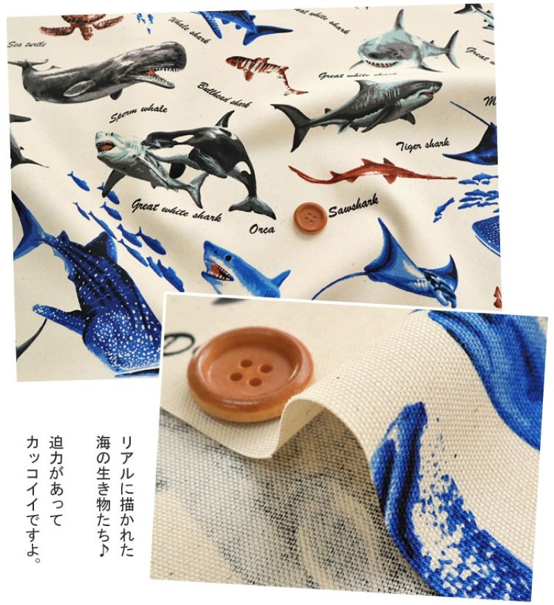 Photo2: 🦈海洋生物【日本選物|預訂商品(約 20 日到港)】🟤日本製|100% 棉 牛津布|大白鯊、鯨鯊、虎鯊、鋸鮫、虎鯨、海豚、蝠鱝、海龜|2026年 10月
