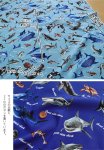 Photo7: 🦈海洋生物【日本選物｜預訂商品（約 20 日到港）】🟤日本製｜100% 棉 牛津布｜大白鯊、鯨鯊、虎鯊、鋸鮫、虎鯨、海豚、蝠鱝、海龜｜2026年 10月 (7)