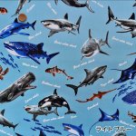 Photo5: 🦈海洋生物【日本選物｜預訂商品（約 20 日到港）】🟤日本製｜100% 棉 牛津布｜大白鯊、鯨鯊、虎鯊、鋸鮫、虎鯨、海豚、蝠鱝、海龜｜2026年 10月 (5)