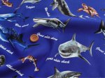 Photo8: 🦈海洋生物【日本選物｜預訂商品（約 20 日到港）】🟤日本製｜100% 棉 牛津布｜大白鯊、鯨鯊、虎鯊、鋸鮫、虎鯨、海豚、蝠鱝、海龜｜2026年 10月 (8)