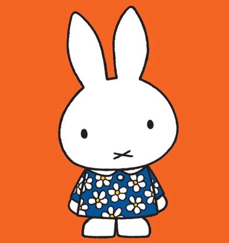 Photo3: 🐰Miffy【預訂商品（約 20日到港）】🟣日本製｜100% 棉 ~ 牛津布｜Miffy & Friends Melanie 小熊 櫻桃 格紋｜2026年 10月