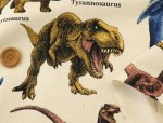 Photo3: 🦖Dinosaur World【日本選物｜預訂商品（約 20 日到港）】🟤日本製｜100% 棉 牛津布｜恐龍 暴龍 滄龍 棘龍 迅猛龍 腕龍 三角龍｜2026年 10月 (3)