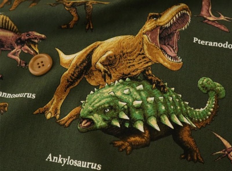 Photo2: 🦖Dinosaur World【日本選物｜預訂商品（約 20 日到港）】🟤日本製｜100% 棉 牛津布｜恐龍 暴龍 滄龍 棘龍 迅猛龍 腕龍 三角龍｜2026年 10月