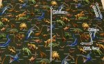 Photo6: 🦖Dinosaur World【日本選物｜預訂商品（約 20 日到港）】🟤日本製｜100% 棉 牛津布｜恐龍 暴龍 滄龍 棘龍 迅猛龍 腕龍 三角龍｜2026年 10月 (6)