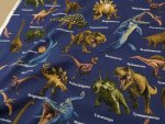 Photo7: 🦖Dinosaur World【日本選物｜預訂商品（約 20 日到港）】🟤日本製｜100% 棉 牛津布｜恐龍 暴龍 滄龍 棘龍 迅猛龍 腕龍 三角龍｜2026年 10月 (7)