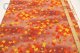 紅豆紅【和風感最重】